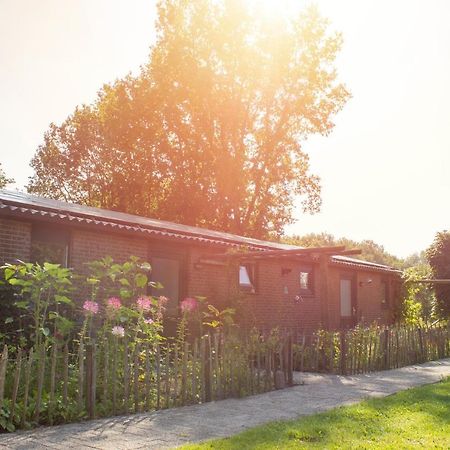 Huisje En B&B Green Cottage Groesbeek Zewnętrze zdjęcie